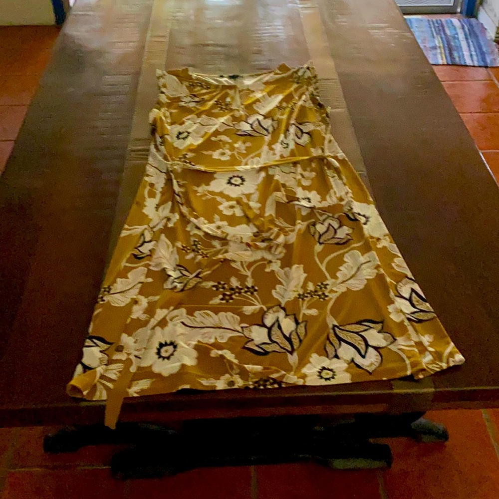 Ann Taylor Factory women’s XL dress